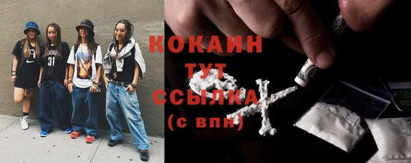 прущий лед Каменка