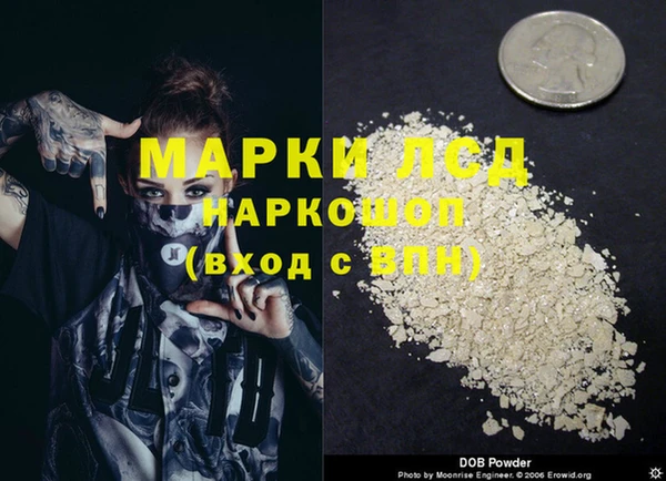 прущий лед Каменка