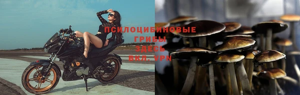 прущий лед Каменка