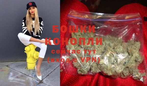 прущий лед Каменка