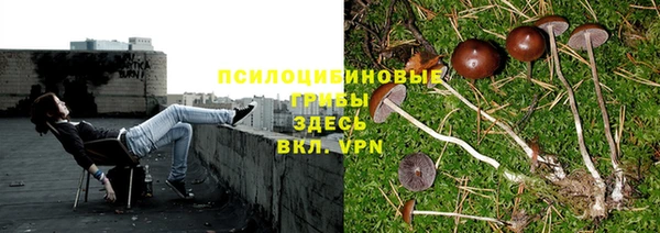 MDMA Premium VHQ Каменногорск