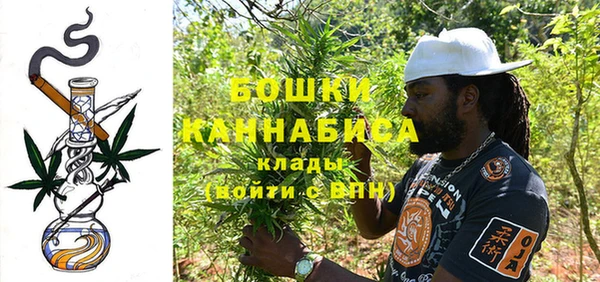 прущий лед Каменка