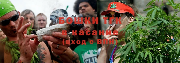 прущий лед Каменка