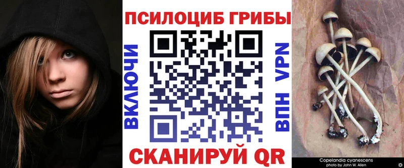 Галлюциногенные грибы мухоморы  Купить закладки  Донецк 